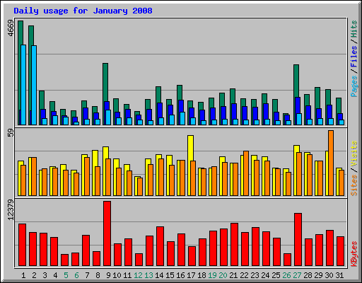 Daily usage for January 2008