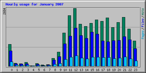 Hourly usage for January 2007