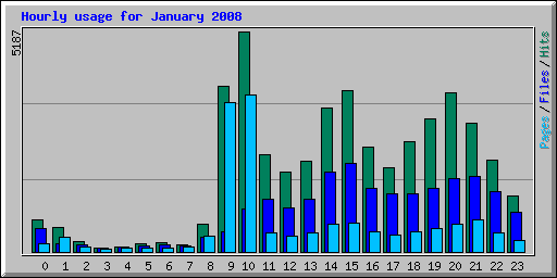 Hourly usage for January 2008